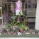 flower show