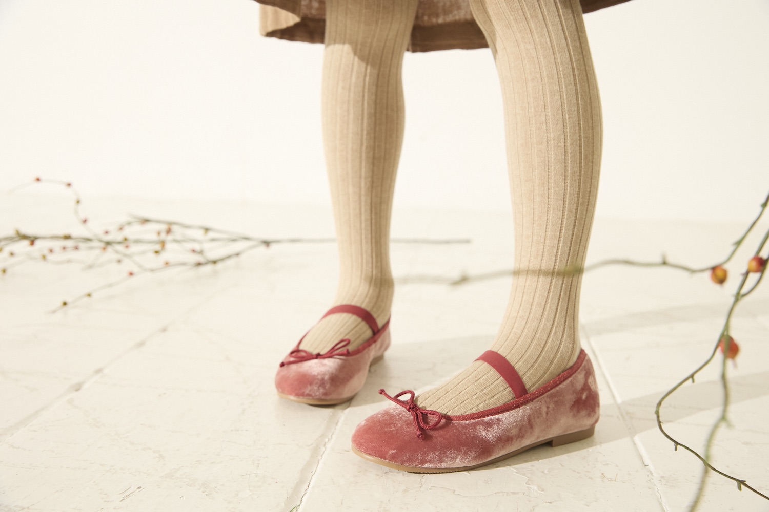 Zinnia close-up landscape 1